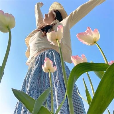 苏菲的世界